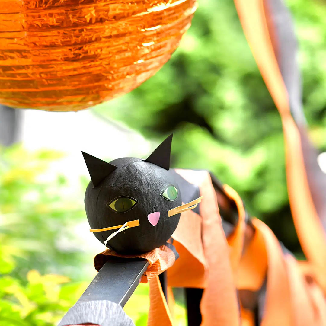 Deluxe Surprise Ball - Black Cat