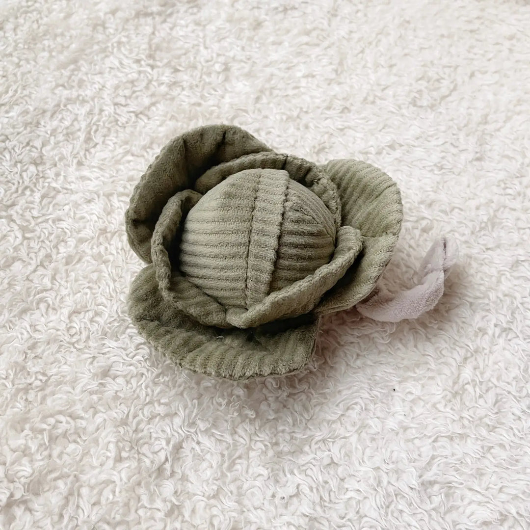 Cabbage Baby Stroller Toy