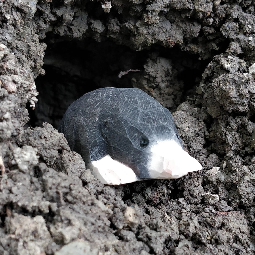 Wooden Mole Animal Toy