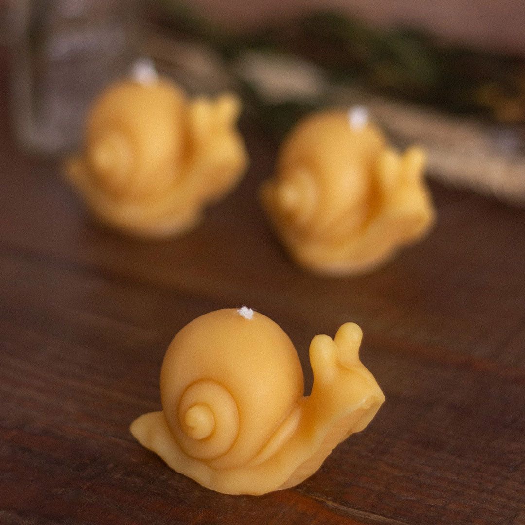 Snail Beeswax Candle
