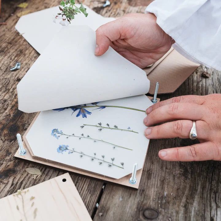 Wooden Large Flower Press Kit-Corn Poppy