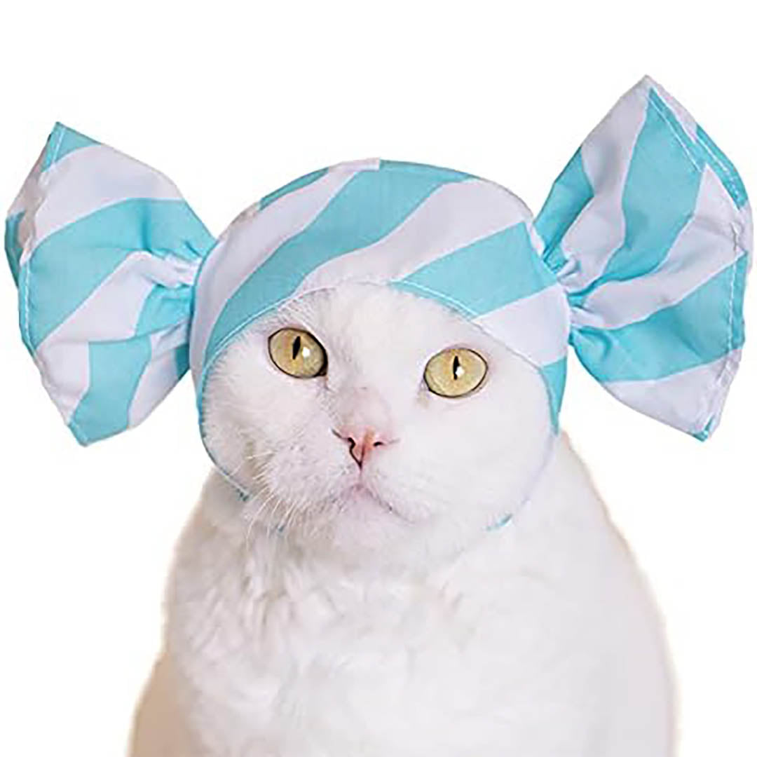Blind Box: Cat Cap (Candy)