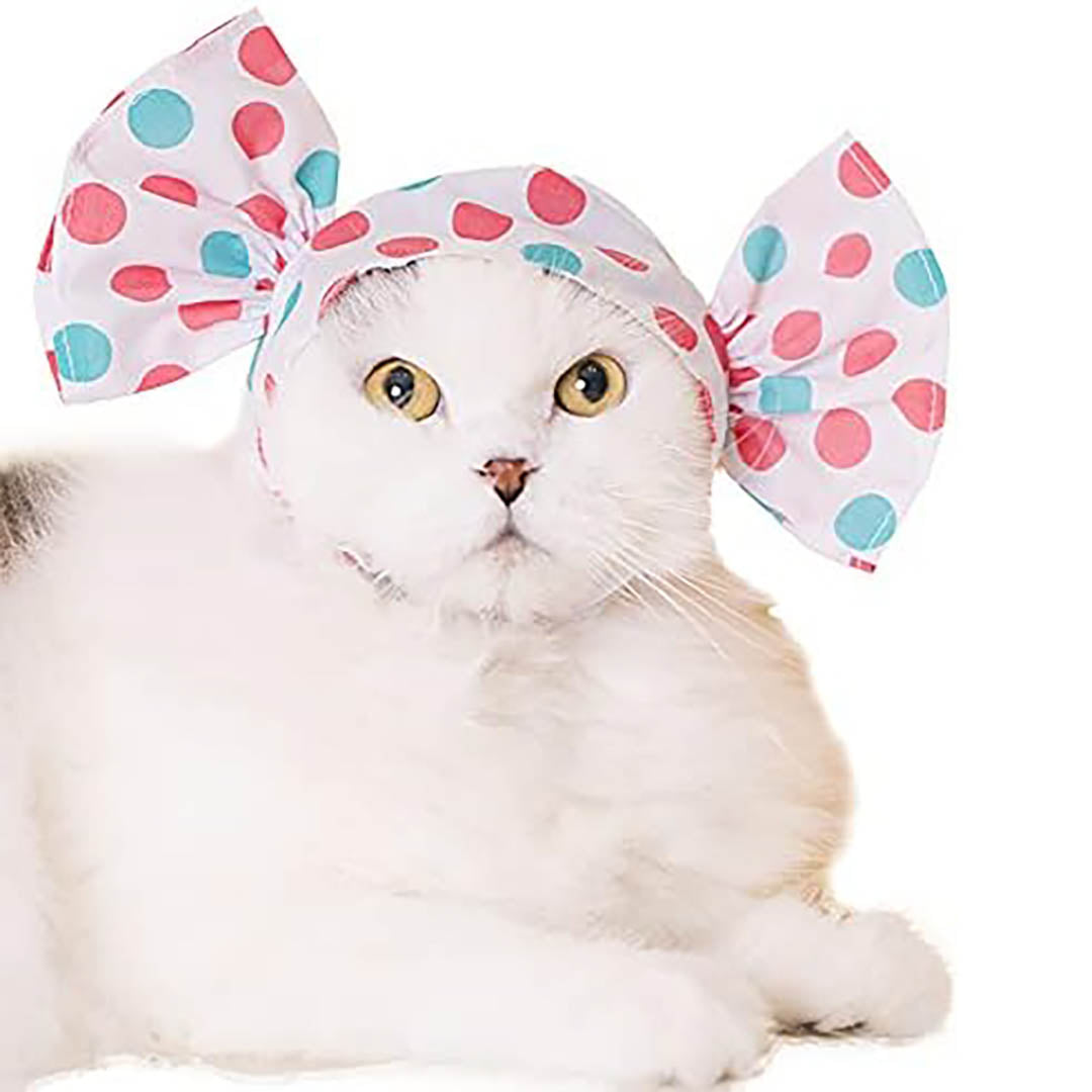 Blind Box: Cat Cap (Candy)