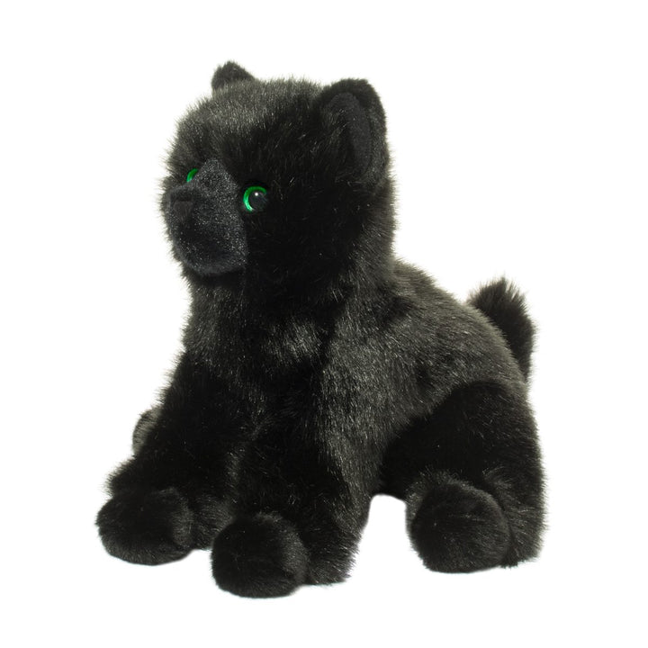 Salem Black Cat