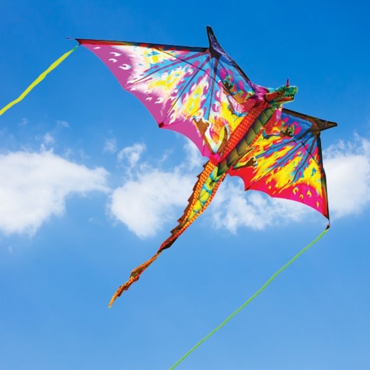 NEW Magical Dragon Kite