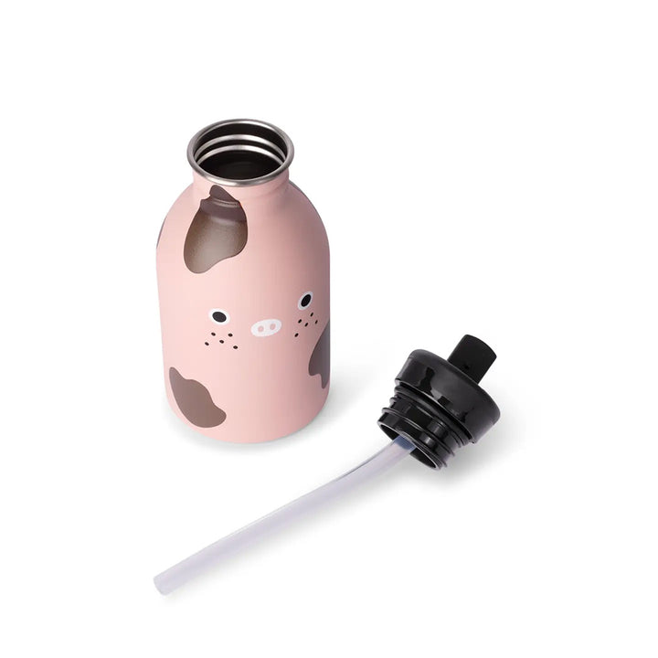 Stainless Steel Water Bottle - Ricepig - Muddy