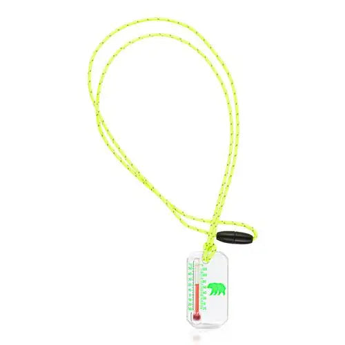 NEW Outdoor Thermometer For Kids - Bear