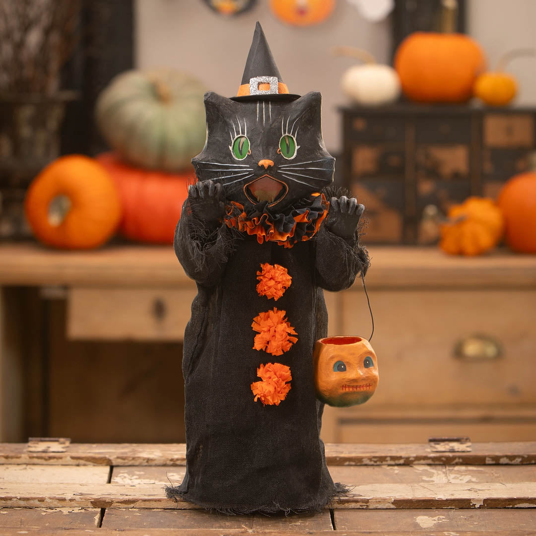 Retro Kitten with Pumpkin