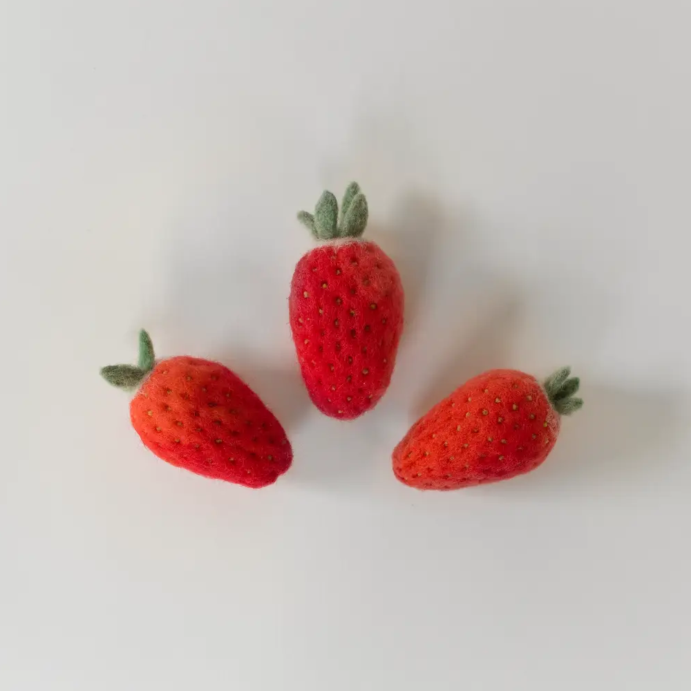 Needle Felting Kit - Strawberry