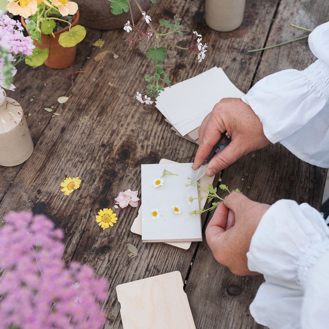 Pocket Flower Press - Forget Me Not