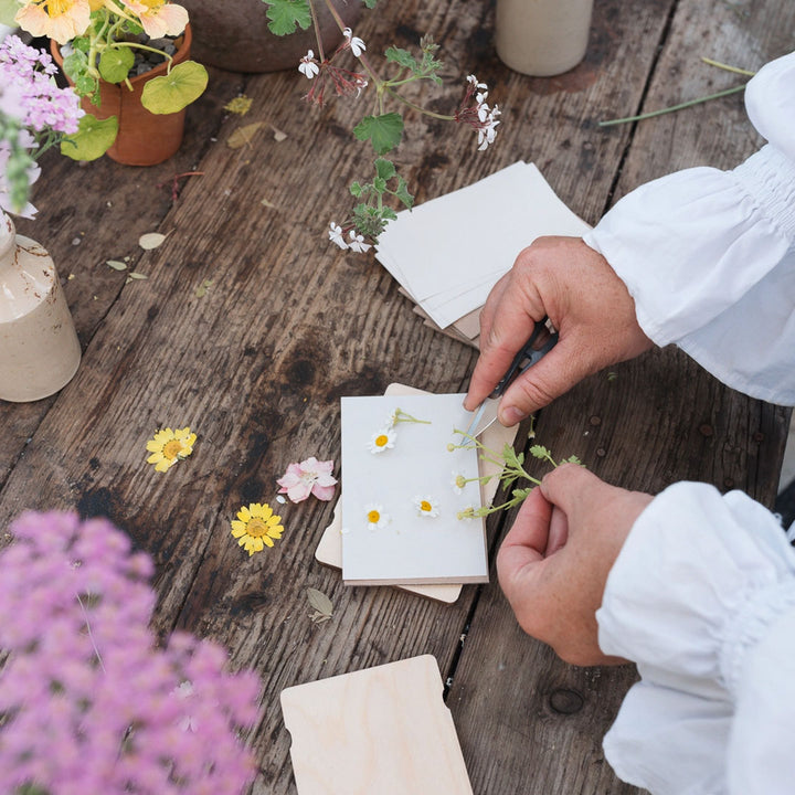 Pocket Flower Press - Forget Me Not