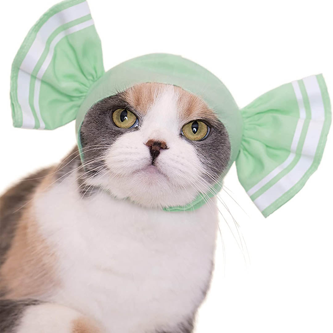 Blind Box: Cat Cap (Candy)