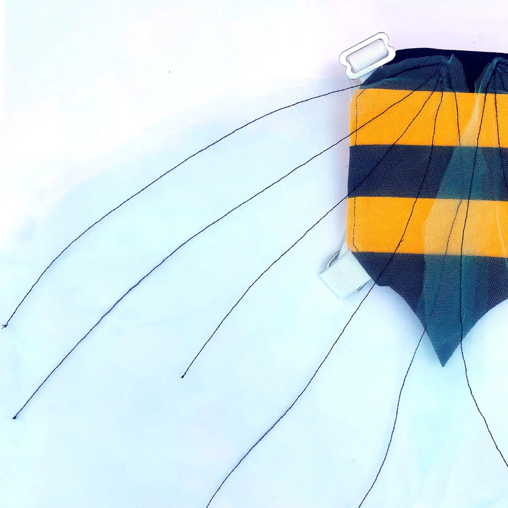 Bumble Bee Wings