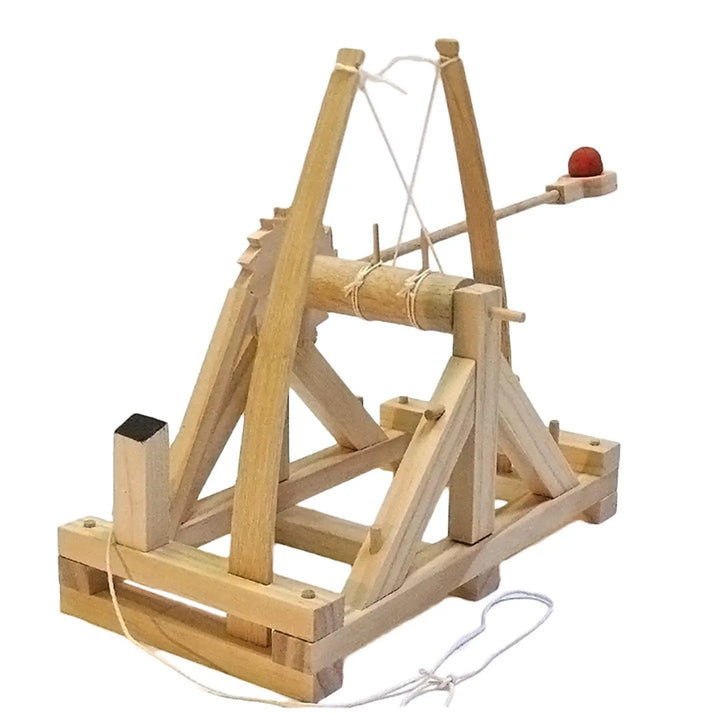 DIY Wooden Catapult Kit