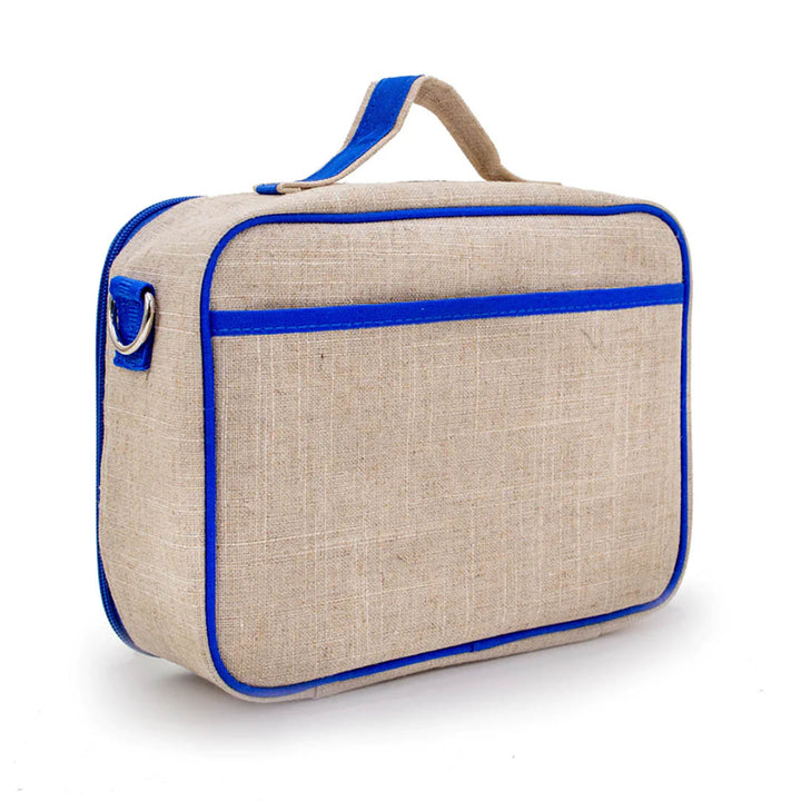 Blue Dino Lunch Box For Kids