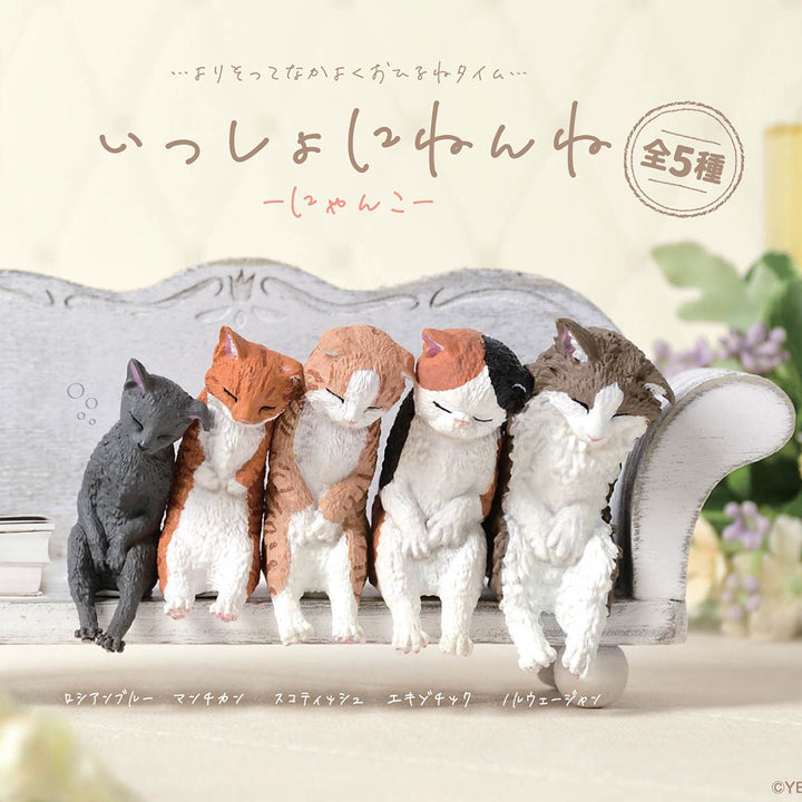 Japanese Blind Box- Let's Sleep Cat Surprise Box