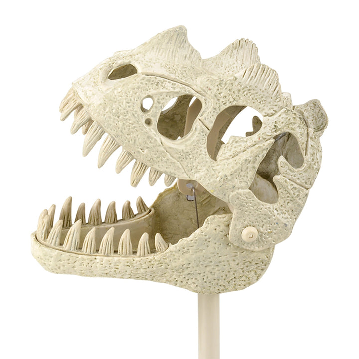 Dinosaur Fossil Snapper with Sound