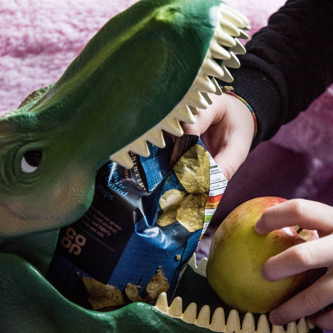 Lunch Box Case- Dinosaur
