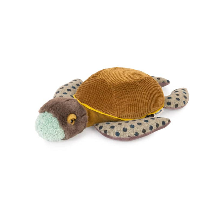 Turtle Plush (Small) Doll