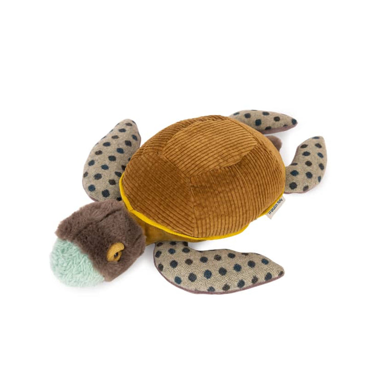 Turtle Plush (Small) Doll