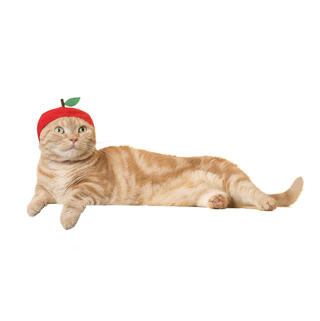 Blind Box: Cat Cap (Fruits)