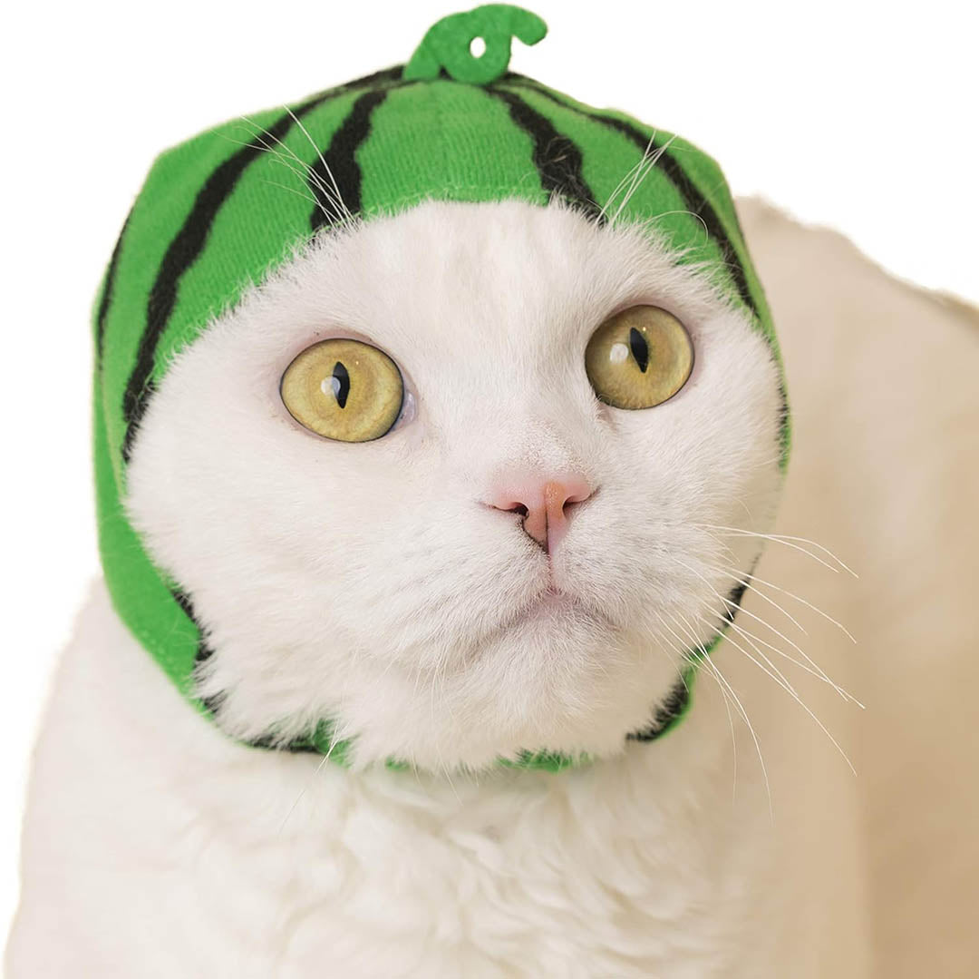 Blind Box: Cat Cap (Fruits)