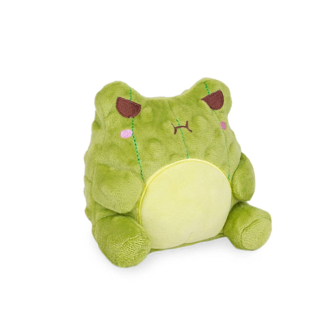 NEW Pickle Wawa (Cute Kawaii Frog Green Bag Food Snack Plush)