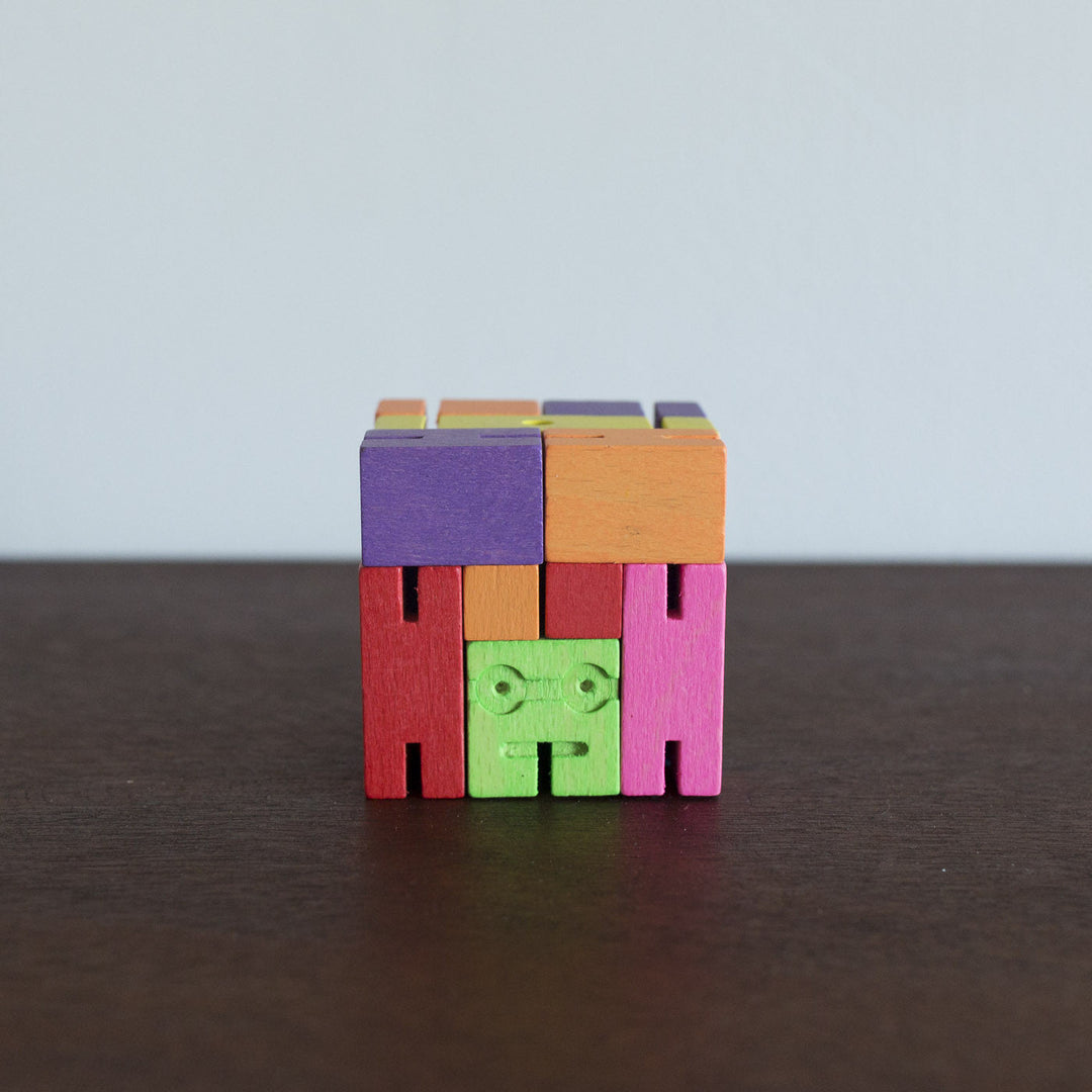 NEW Cubebot Rainbow- Medium