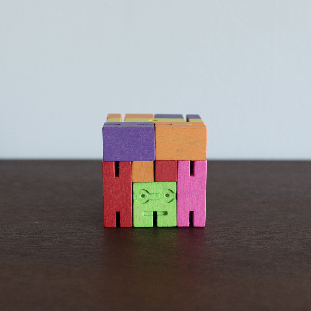 NEW Cubebot Rainbow- Medium
