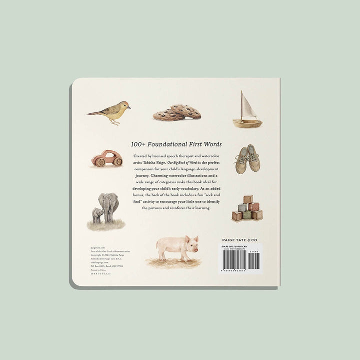 Our Big Book of First Words (Baby Board Book)