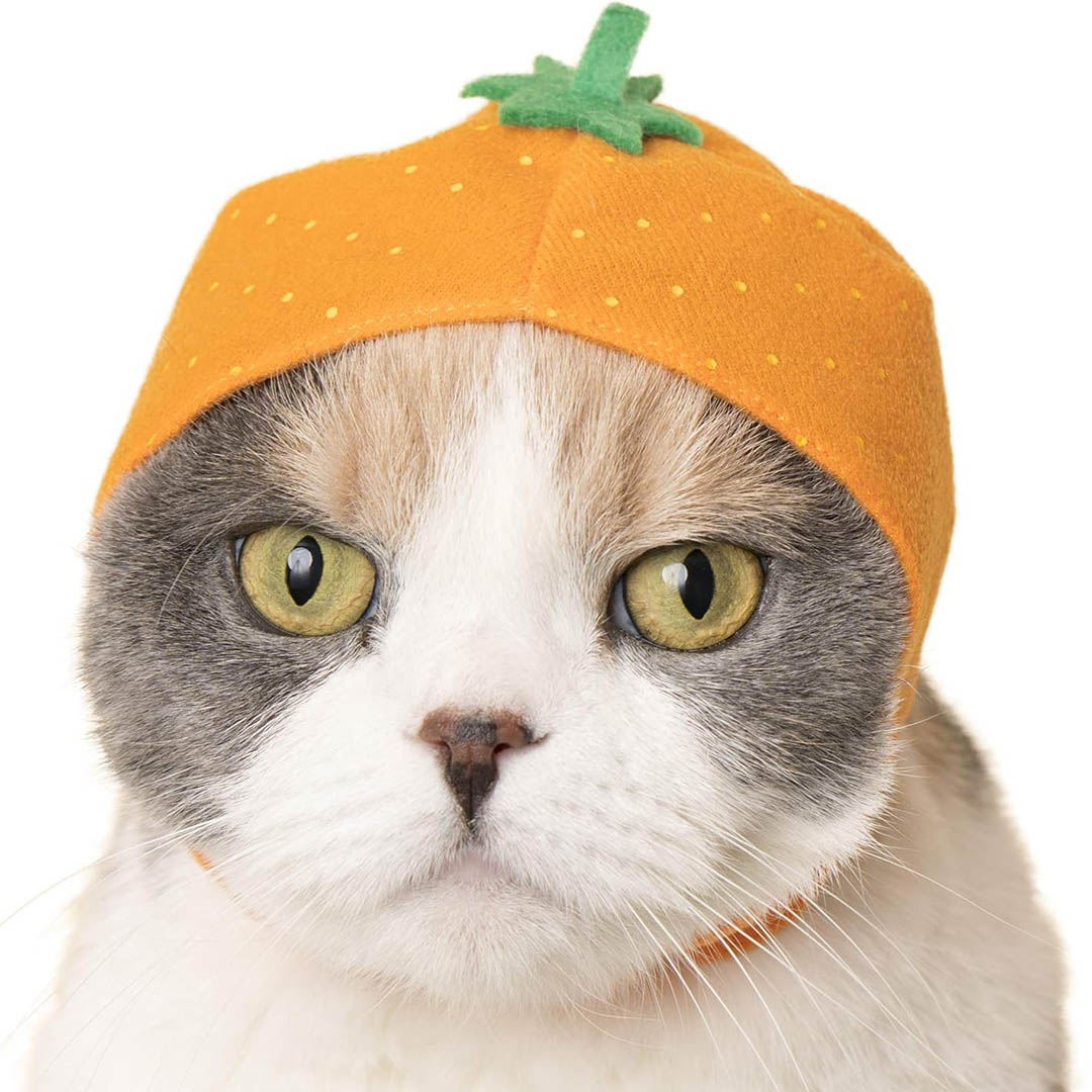 Blind Box: Cat Cap (Fruits)
