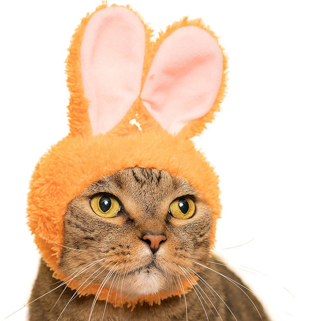 Blind Box: Cat Cap (Rabbit)