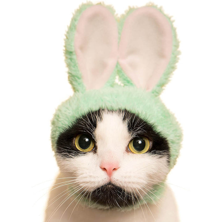 Blind Box: Cat Cap (Rabbit)