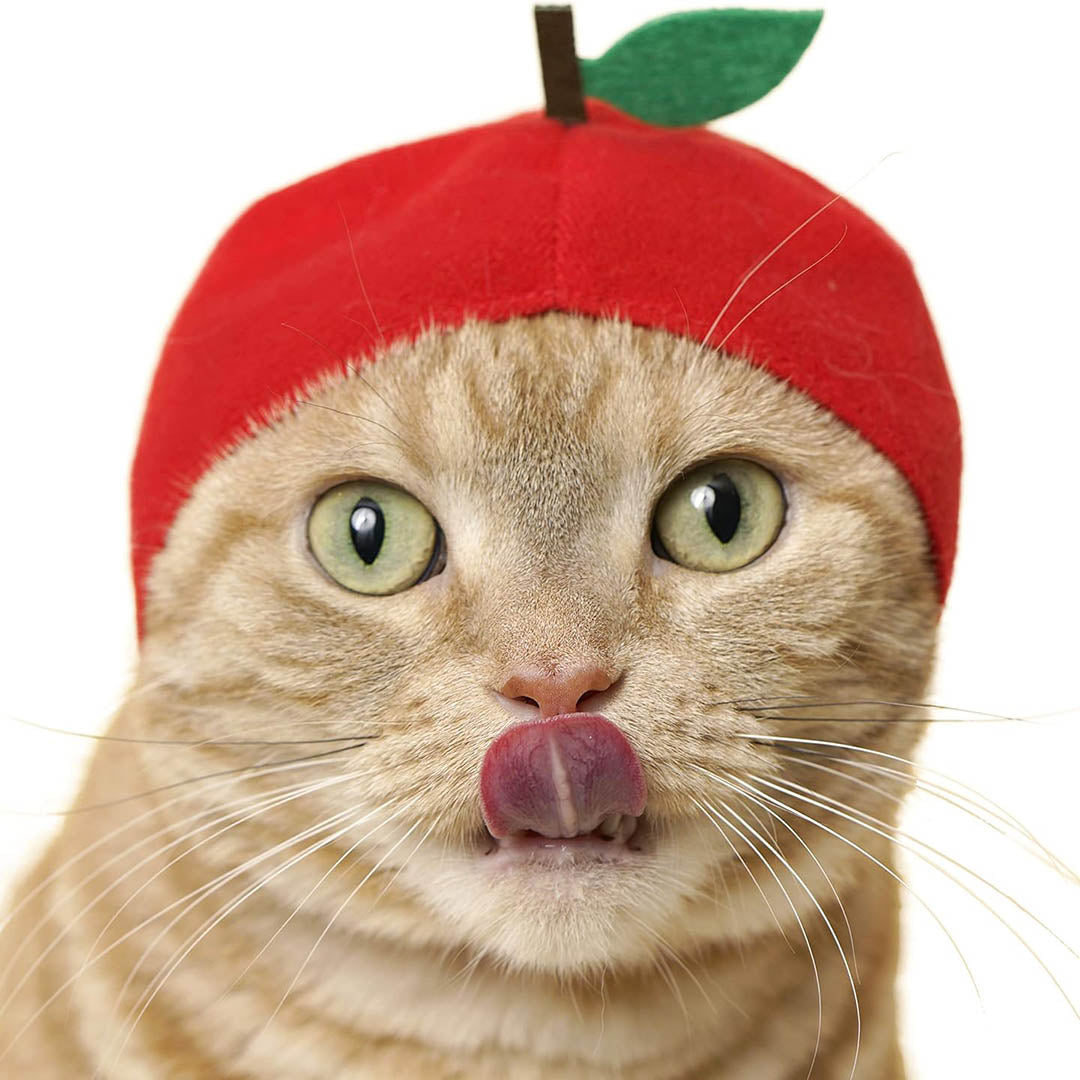 Blind Box: Cat Cap (Fruits)