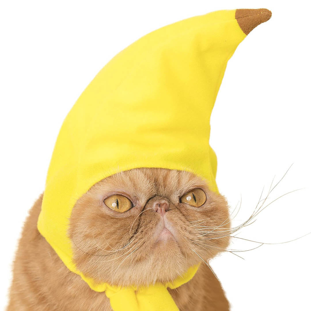 Blind Box: Cat Cap (Fruits)