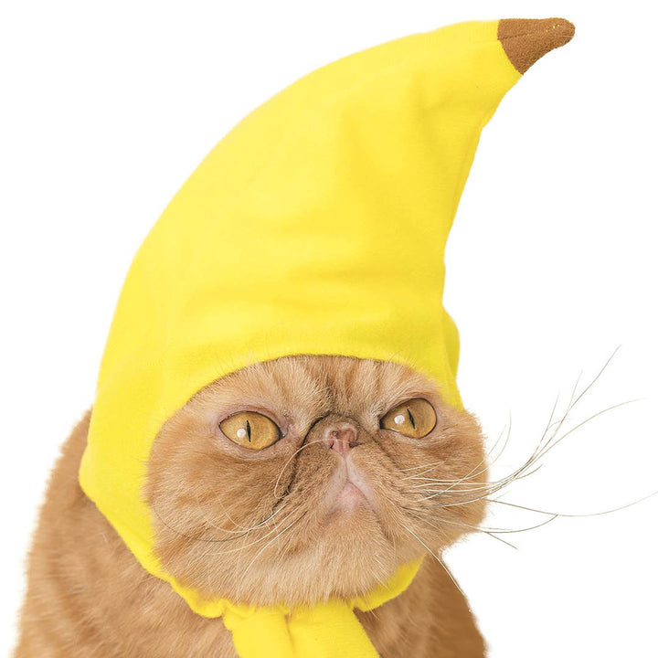 Blind Box: Cat Cap (Fruits)