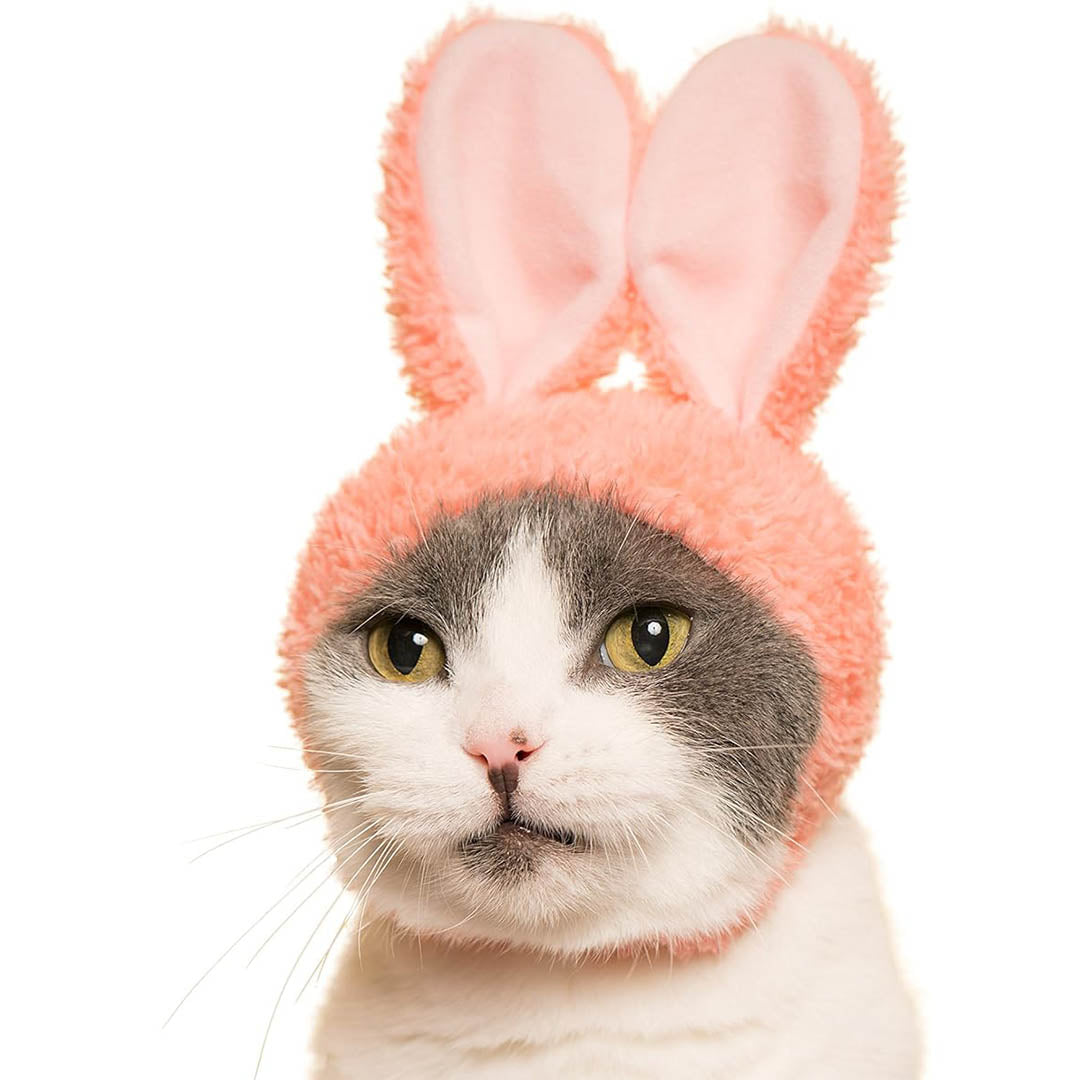 Blind Box: Cat Cap (Rabbit)