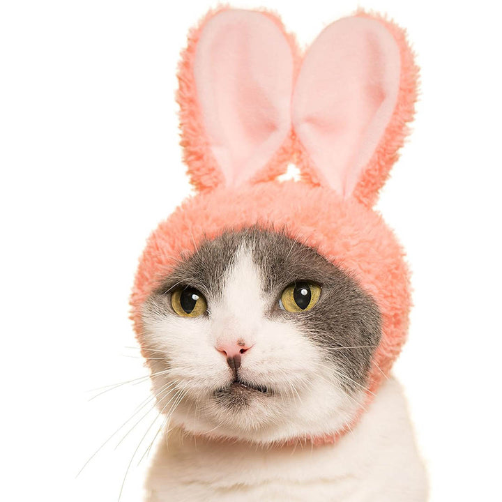 Blind Box: Cat Cap (Rabbit)