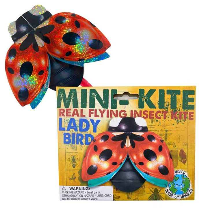 NEW Mini Flying Insect Kites - Three Types!