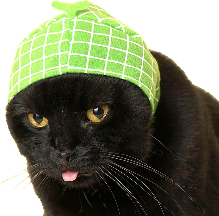Blind Box: Cat Cap (Fruits)
