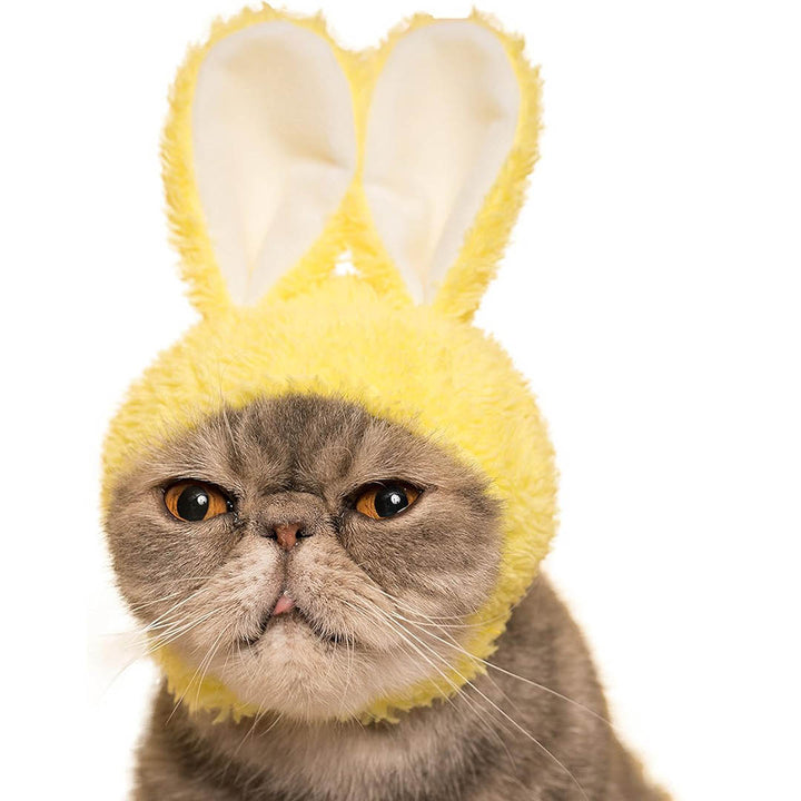 Blind Box: Cat Cap (Rabbit)