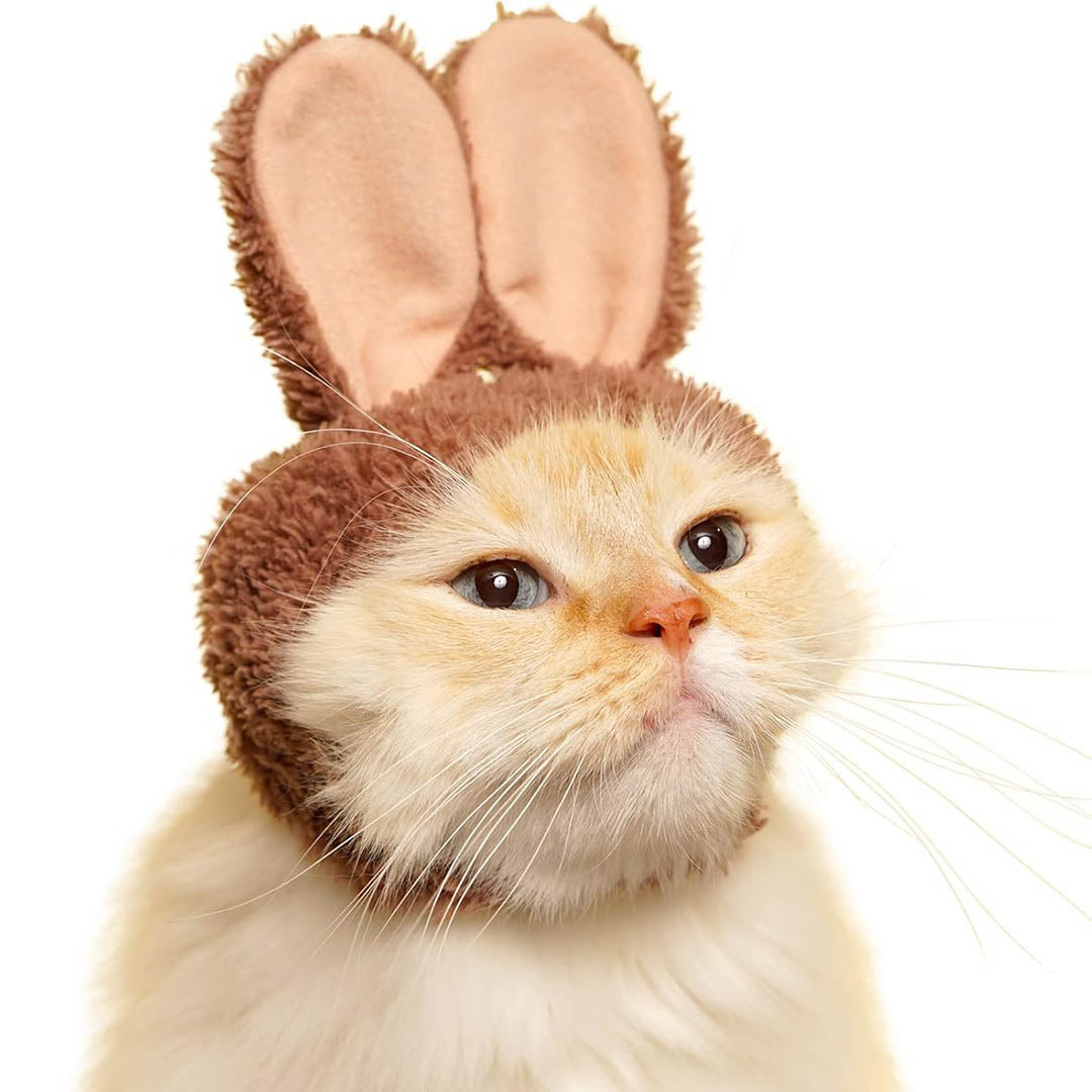 Blind Box: Cat Cap (Rabbit)