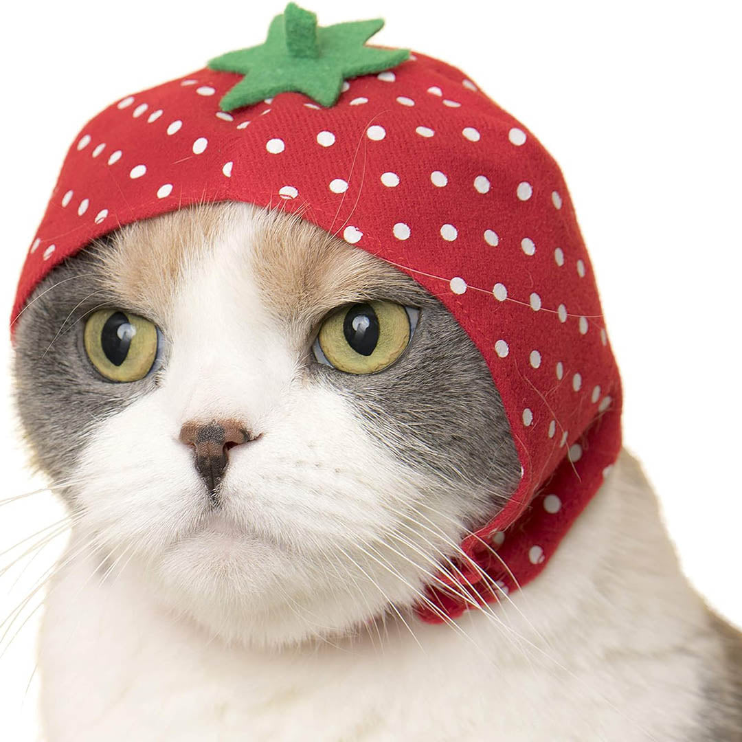 Blind Box: Cat Cap (Fruits)