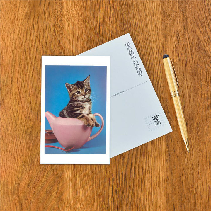 Postcard - Kitten in Tea Pot