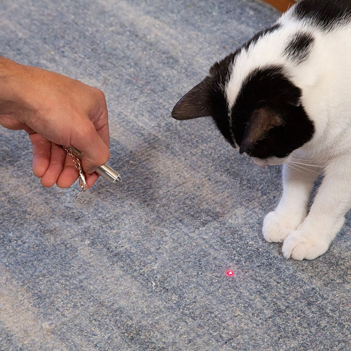 NEW Rechargeable Laser Pointer