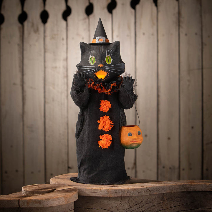 Retro Kitten with Pumpkin
