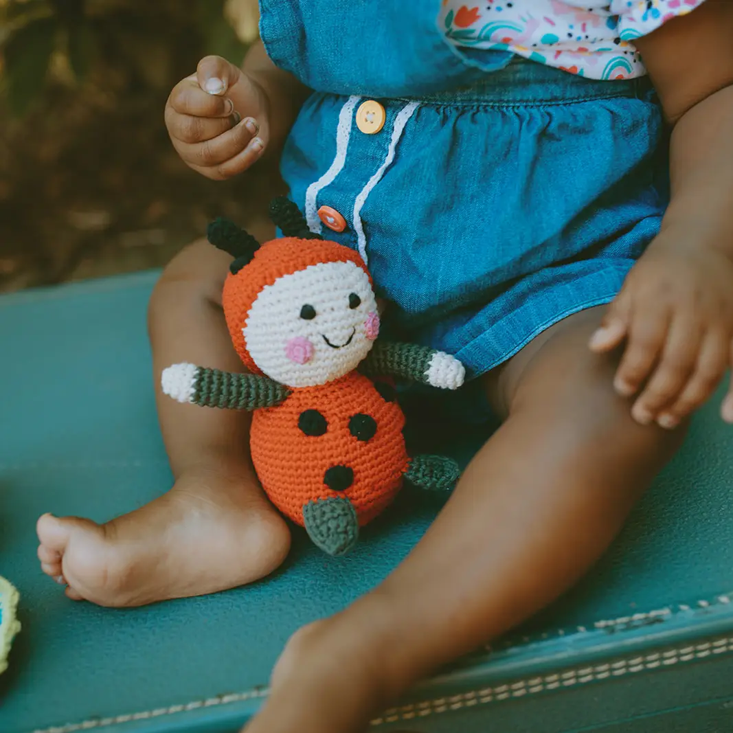 NEW Organic Ladybug Rattle Toy