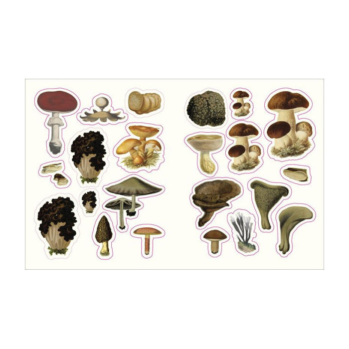 The Forests, Fairies and Fungi Sticker Anthology: With More Than 1,000 Vintage Stickers