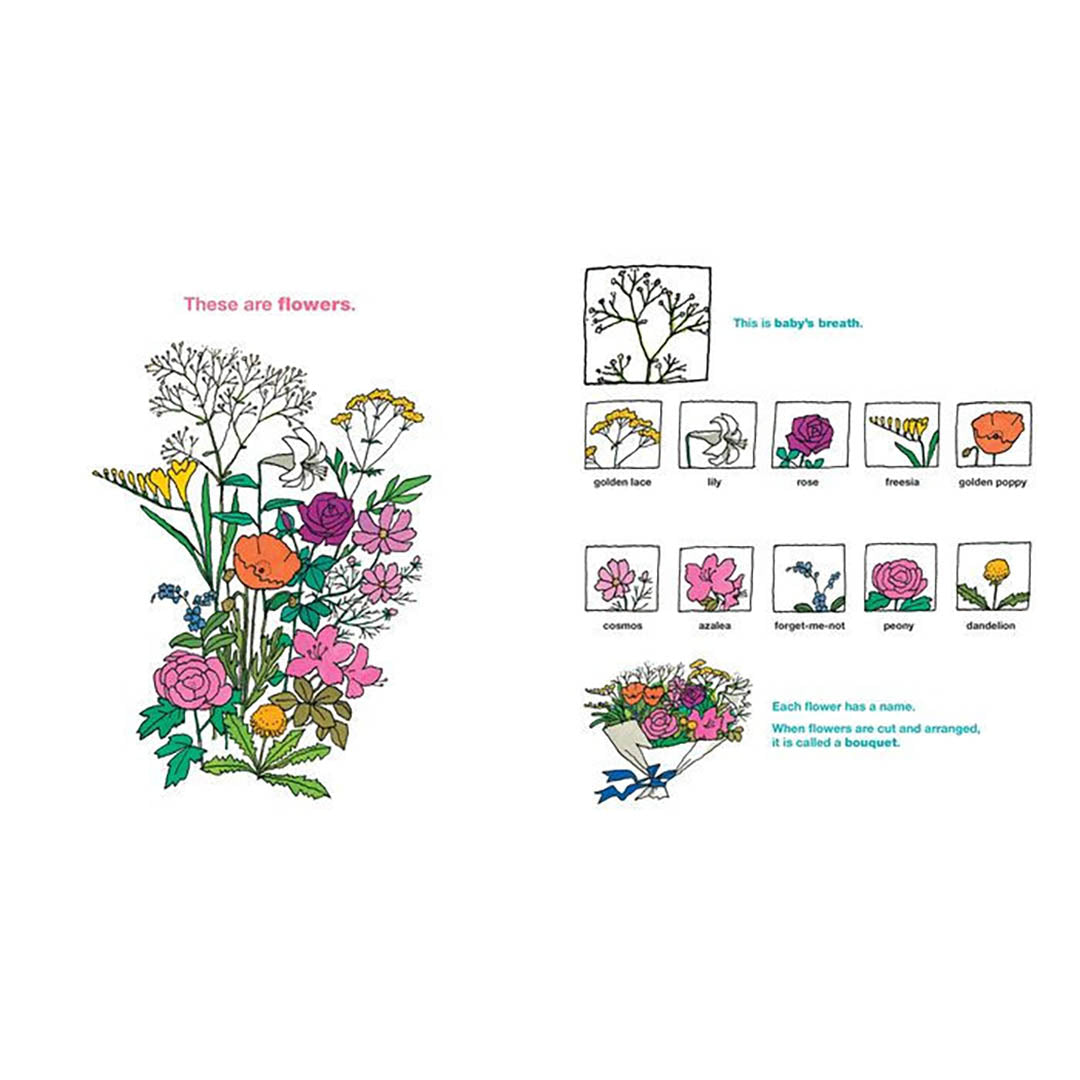 Taro Gomi's Big Book of Words