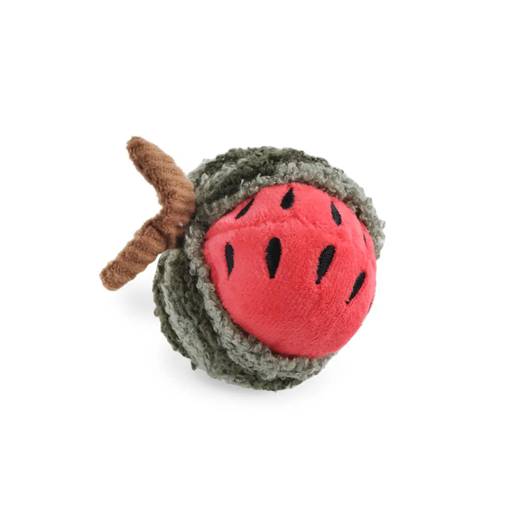 Watermelon Rattle